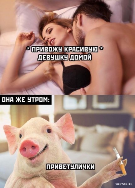 Картинки смешные приколы