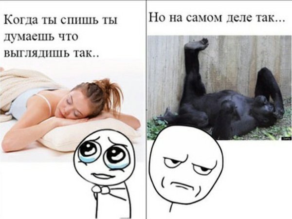 Мемы с надписями самые Угарные