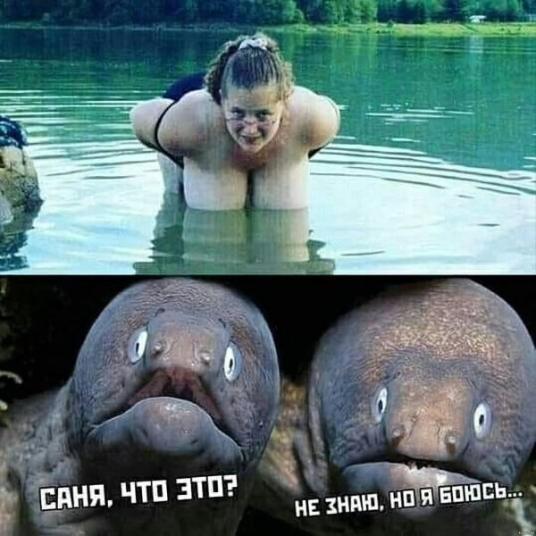 Угарные картинки до слез
