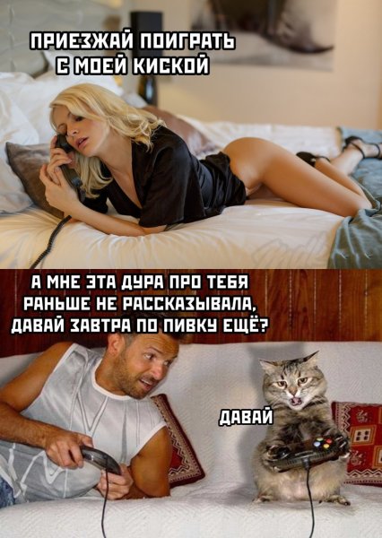Прикольные картинки с надписями