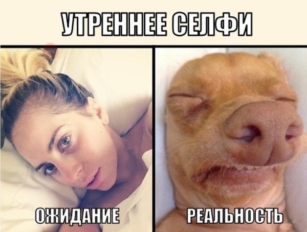 Картинки смешные до слез
