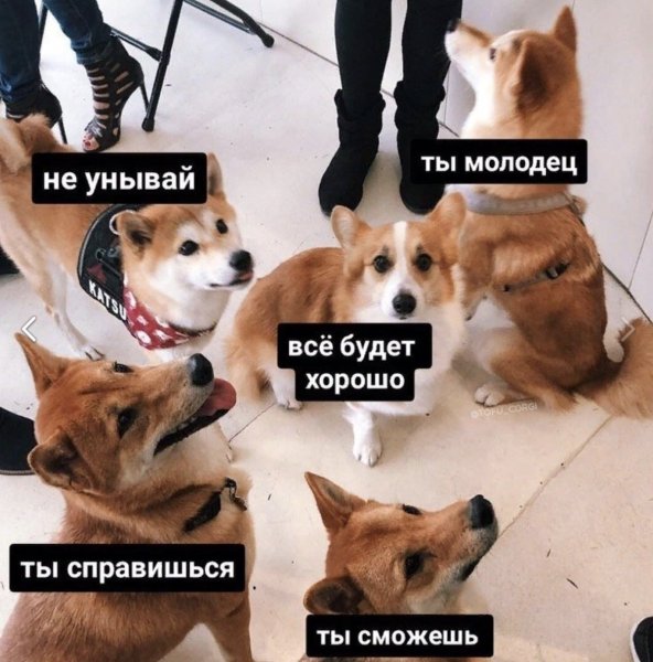 Держись у тебя все получится