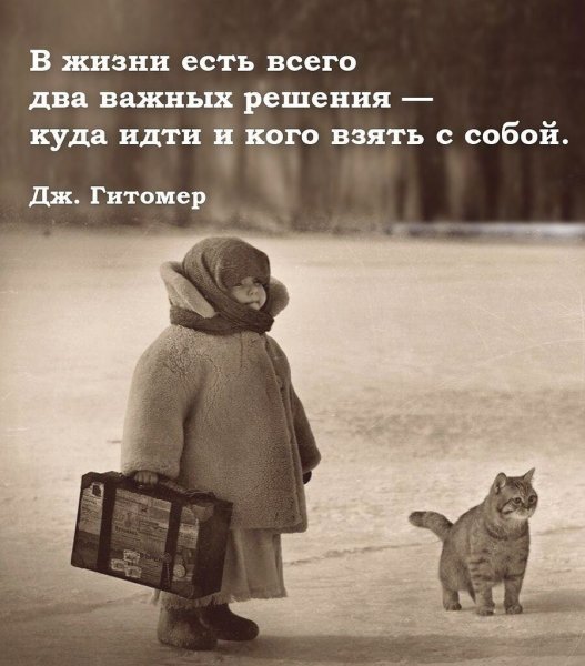 В жизни два важных решения