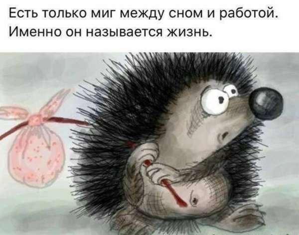 Есть только миг между сном и работой именно
