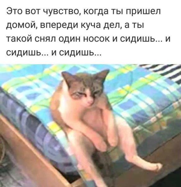 Когда пришла домой