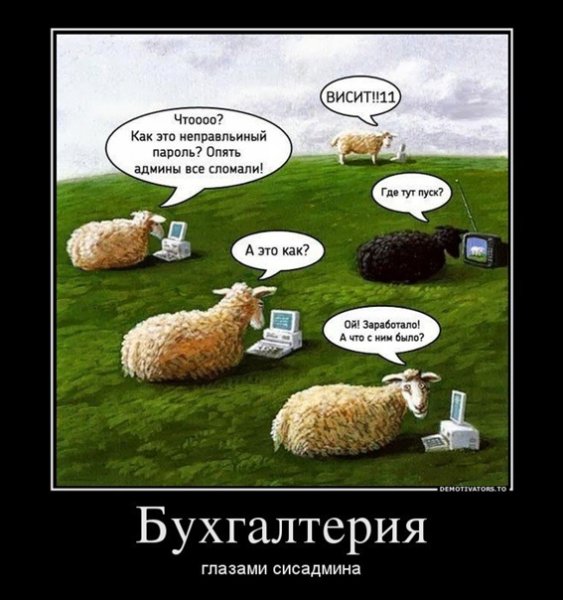 Шутки про бухгалтеров