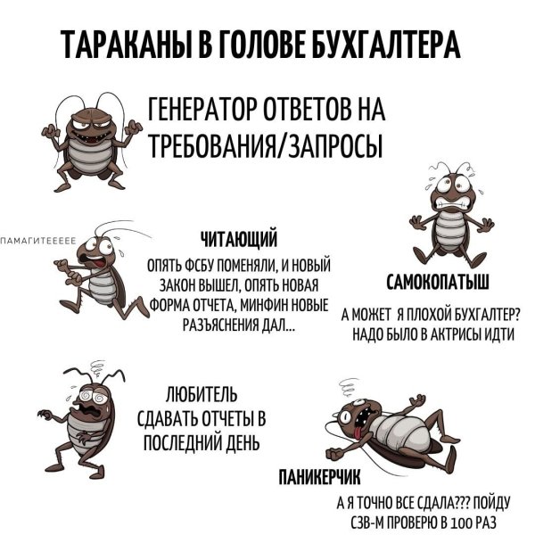 Бухгалтерия смешные картинки