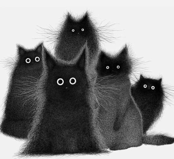 Рисунки кошек прикольные