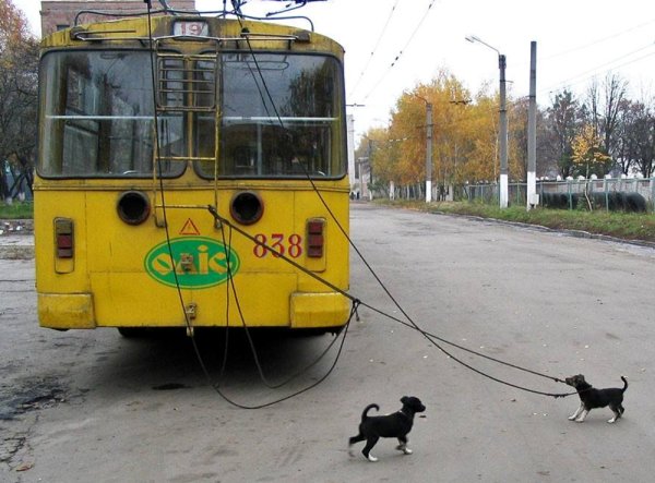 Троллейбус приколы