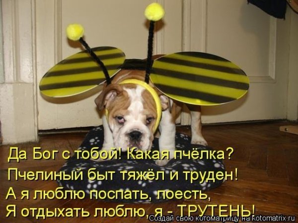 Анекдот про пчелку