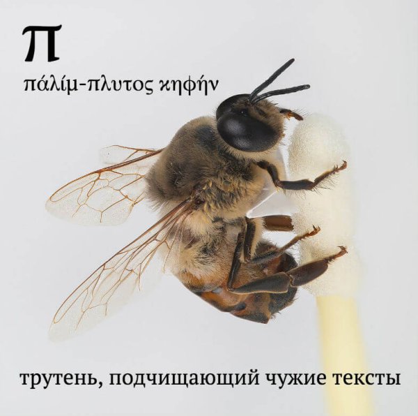 Трутень Мем