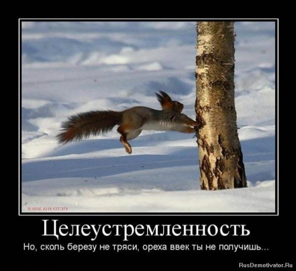 Фразы про целеустремленность