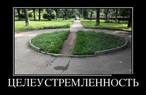 Целеустремленность картинки
