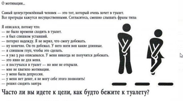 Мотивация про туалет