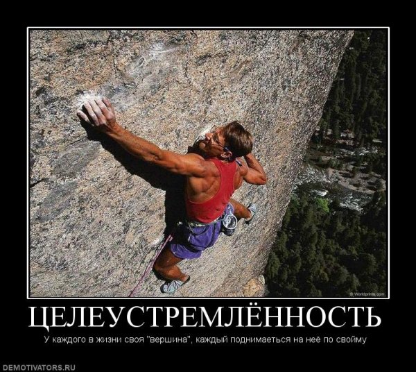 Цитаты целеустремленных