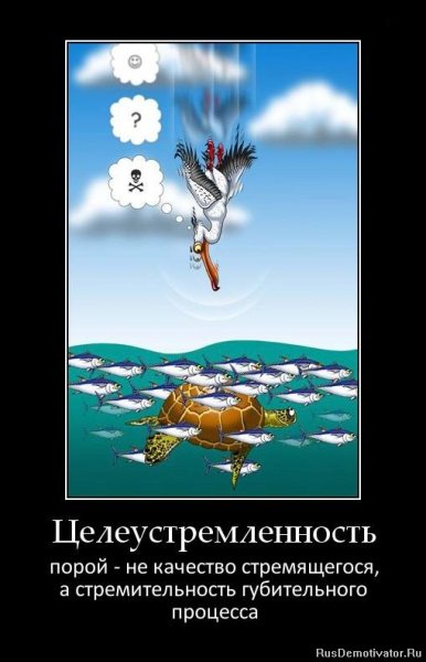 Шутки про целеустремленность
