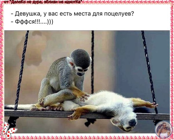 Место для поцелуев юмор