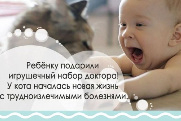 Веселые цитаты про детей