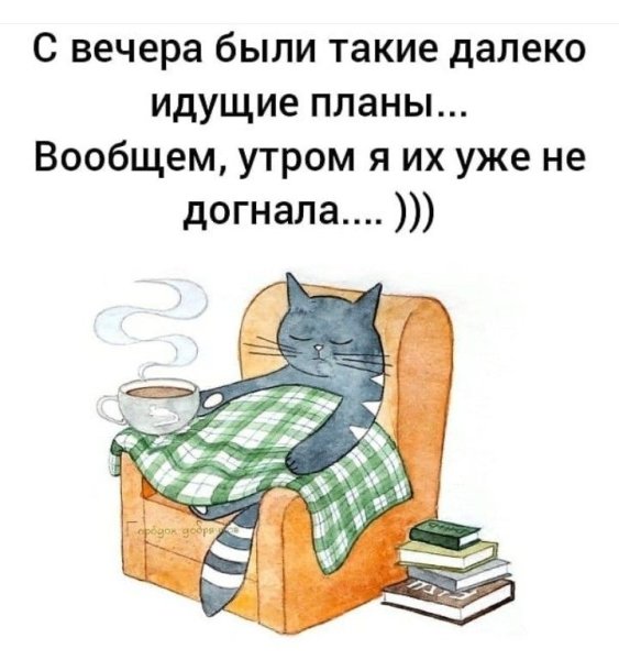 Смешные высказывания с добрым утром