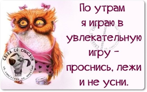 Смешные цитаты с добрым утром