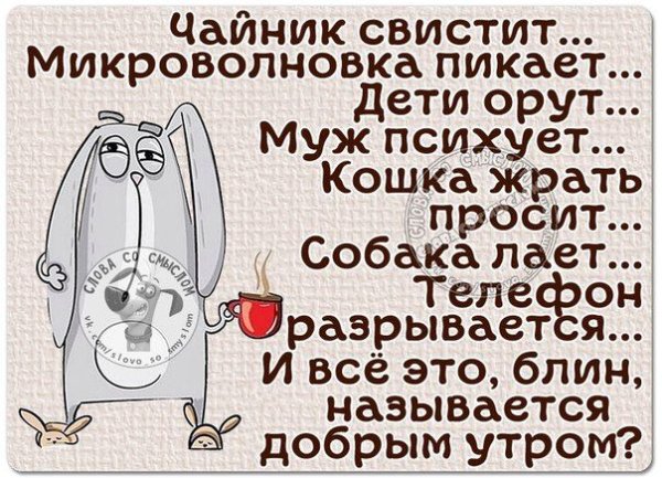 Смешные фразы с добрым утром
