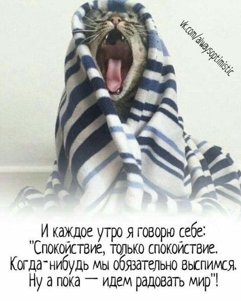 Цитаты с добрым утром прикольные