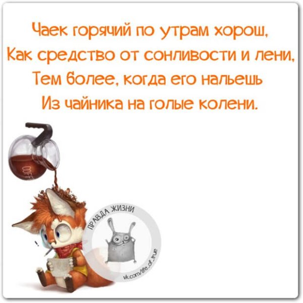Смешные цитаты с добрым утром