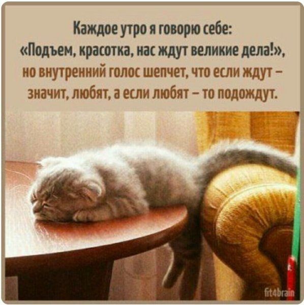 Смешные высказывания про утрр