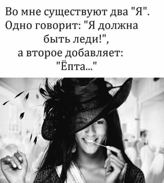 Смешные цитаты