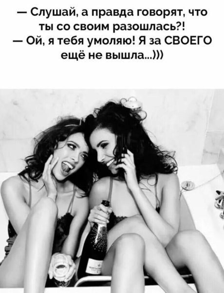 Высказывания про подокг