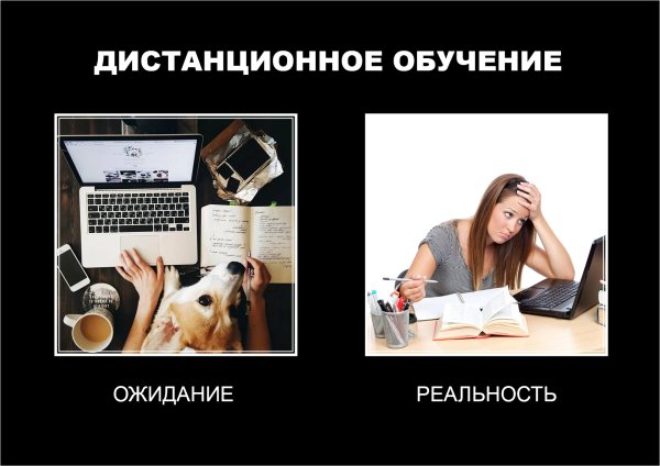 Учеба ожидание и реальность