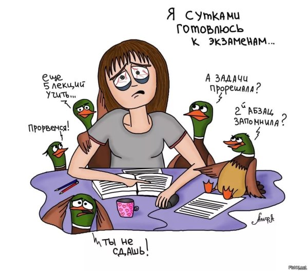 Веселые шутки про экзамены