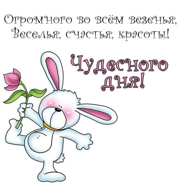 Пожелания хорошего дня прикольные