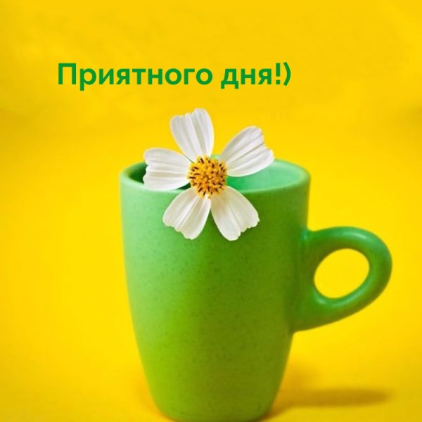 Хорошего дня и отличного настроения