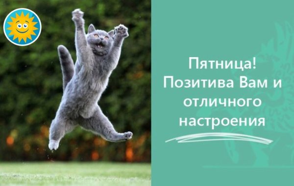 Пятница позитив