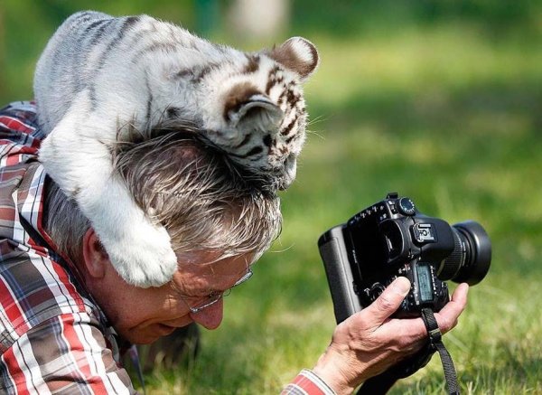 Фотографирование животных