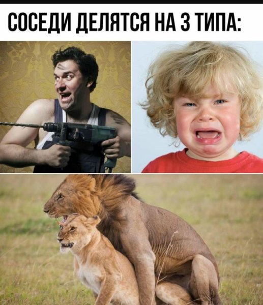 Смешные картинки мемы