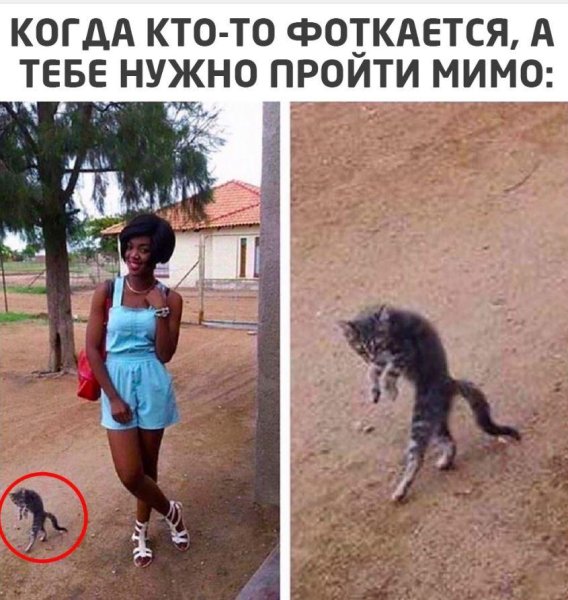 Приколы с надписями до слёз