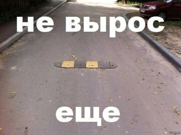 Смешные картинки с надписями