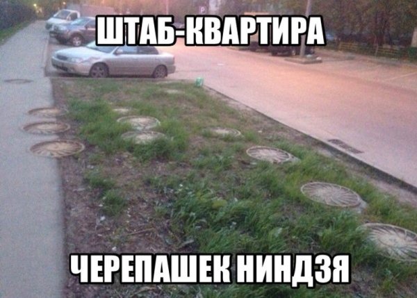 Смешные фото до слез с надписями