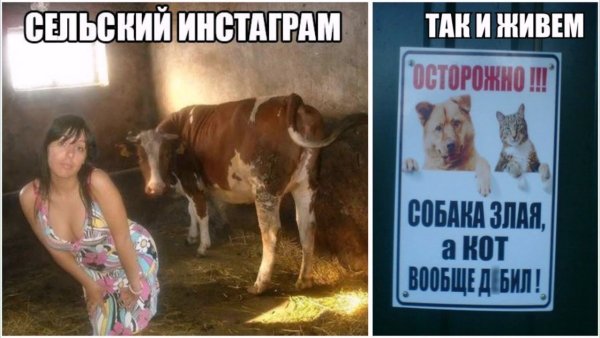 Смешно до слез с надписями
