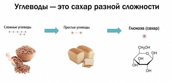 Таблица сложные углеводы белок