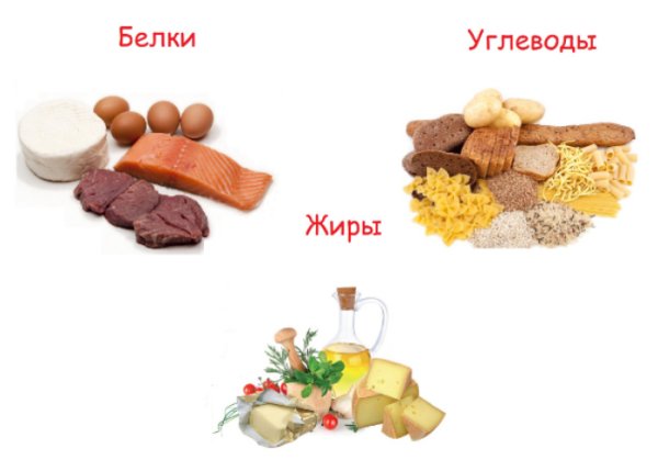 Белок жиры и углеводы