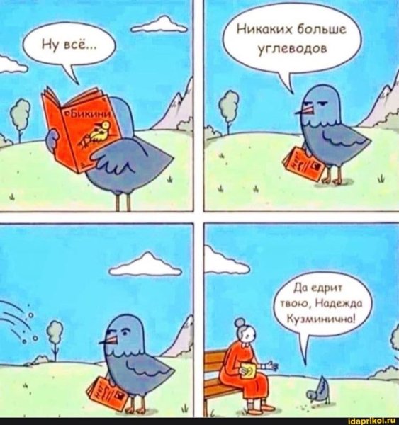 Птица прикол