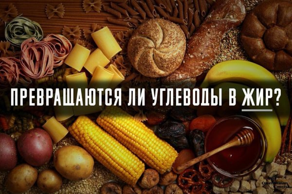 Быстрые углеводы фото