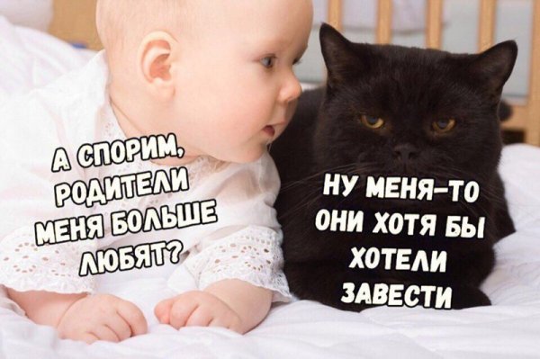 Картинки прикольные смешные с надписями