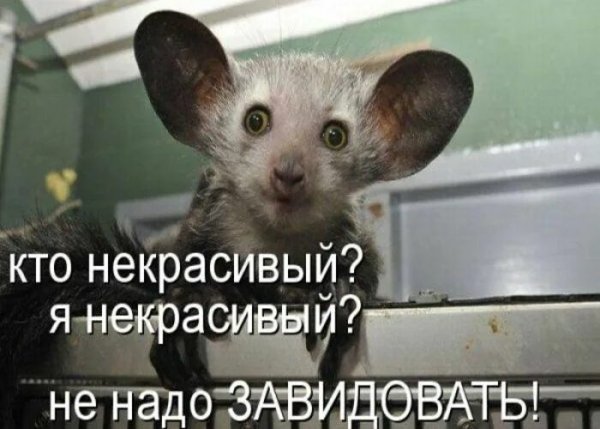 Приколы картинки с надписями