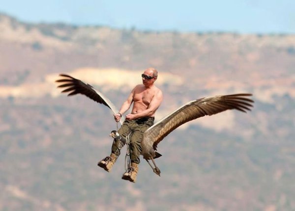 Путин на птице