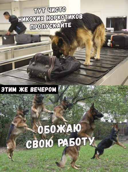 Приколы рисунки с надписями