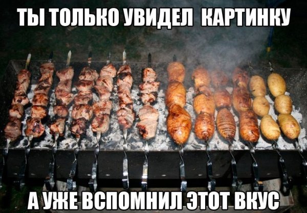 Картинки приколы смешные с надписями